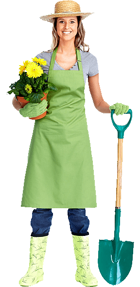 gardener landscape